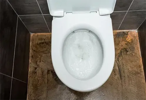 Desentupimento de Vaso Sanitário em Sumaré